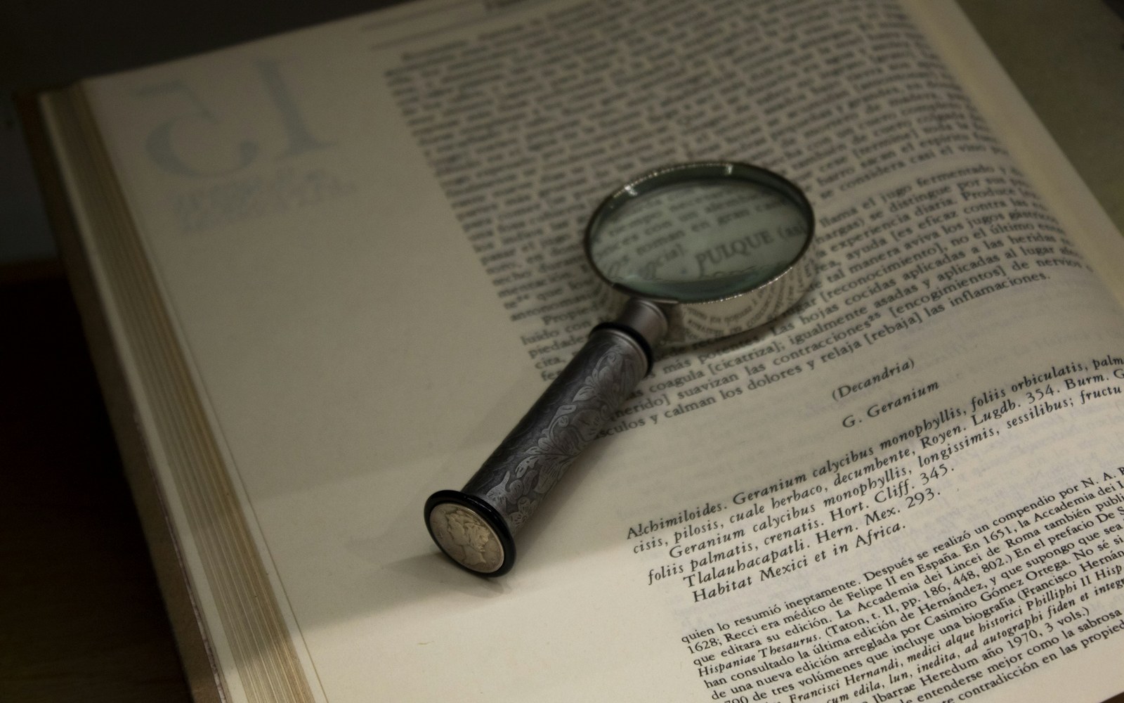 Une page de dictionnaire sous une loupe