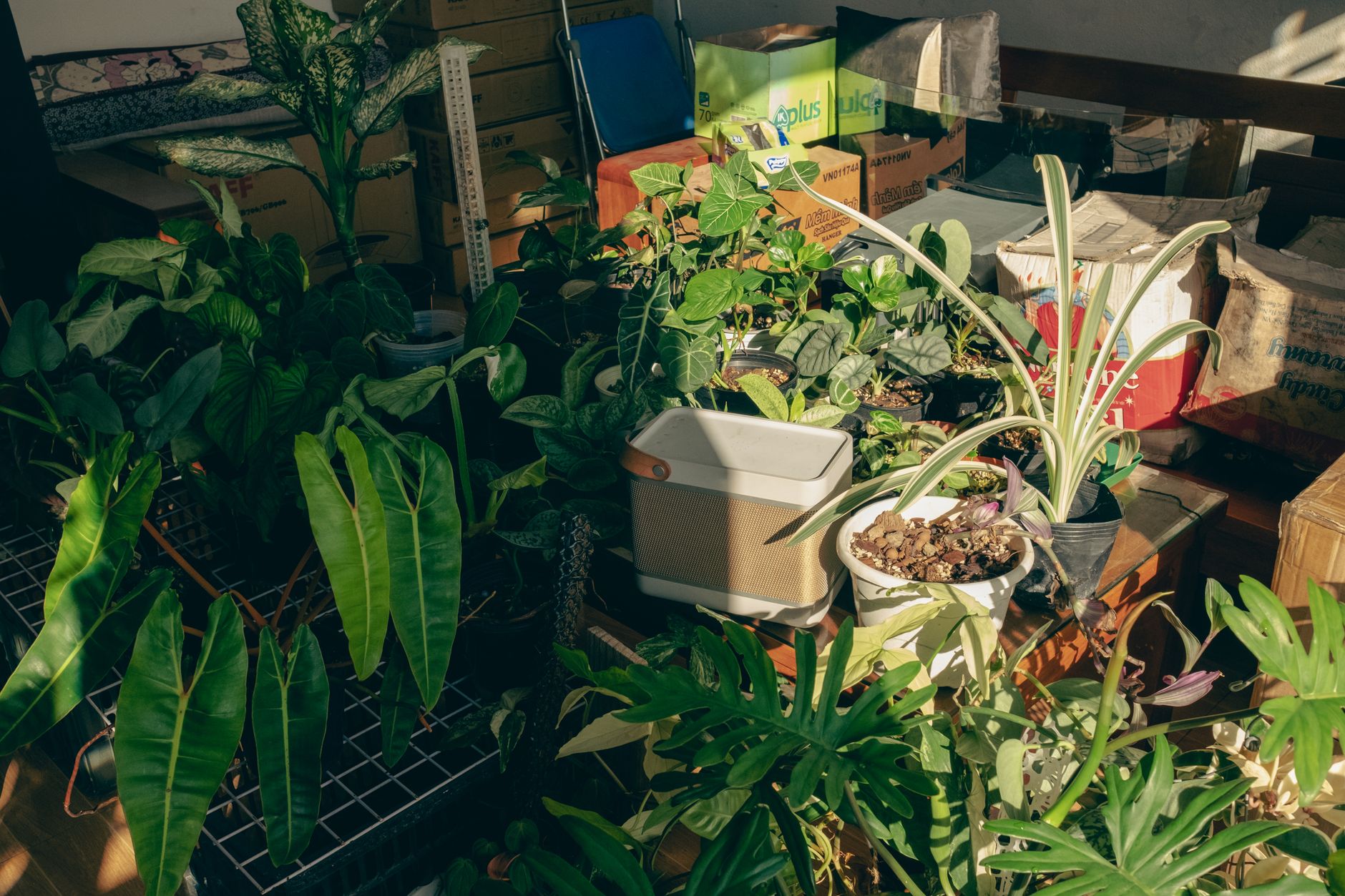Boîtes de rangement : IKEA SAMLA vs coffres rigides