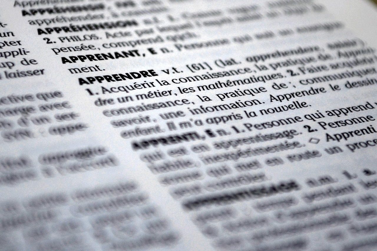 Langue facile : ce que disent les classements pour un francophone